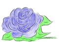 Blue rose in full bloom Royalty Free Stock Photo