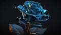 Blue Rose Art