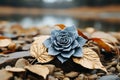 a blue rose sits on top of leaves and rocks
