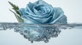 Blue rose underwater with water bubbles and soft light reflection Royalty Free Stock Photo