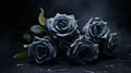 Black Roses On A Black Background: A Neo-concrete Art Of Solitude And Romance