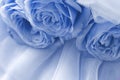 Blue roses on blue veil. Abstract background. Macro