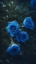 Blue Roses and Dew on the Shadowed Grass Generative AI