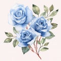 Delicate Blue Rose Watercolor Clipart With Symmetrical Arrangement Royalty Free Stock Photo