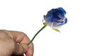 Blue roses symbolize the mystery, the impossible. Give, gift, courtship, seduction, love.