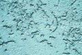 Blue rough texture background, cement wall, bark beetle effect Royalty Free Stock Photo