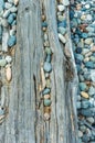 Beach pebbles and driftwood log, British Columbia, Canada. Royalty Free Stock Photo