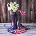 Blue rubber boots, a bouquet of daffodil flowers, seeds and garden tools. Gardening and growing flowers Royalty Free Stock Photo