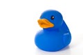 Blue Rubber Duck with Copy Space