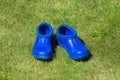 Blue rubber galoshes on the grass Royalty Free Stock Photo