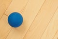 Blue Rubber Racquetball