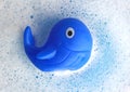 Blue rubber wahle on white soap foam Royalty Free Stock Photo