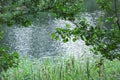 Blue ruffled lake view in the forest framed by tree branches with green leaves and reed