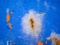 Blue Rust Metal Background Royalty Free Stock Photo