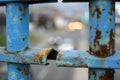 Blue rusty guard rail closeup on bridge Royalty Free Stock Photo