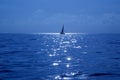 Blue sailboat sailing mediterranean sea