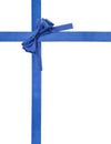 Blue satin bows and ribbons isolated - set 6