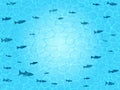 Blue school of fish swimming. Ocean or sea waves