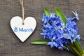 Blue Scilla flowers and decorative wooden heart on old wooden background for 8 March International Women`s Day.