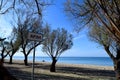 Summer landscape of Peraia, Thessaloniki, Greece. Tamarisk trees on the beach. Royalty Free Stock Photo