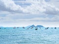 Blue Sea and Bue Sky Background,Ocean at Coast Free Space