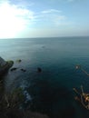 blue sea full of coral and trees on the cliff