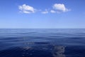 Blue sea horizon ocean perfect in calm Royalty Free Stock Photo