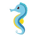 blue sea horse pet aquarium