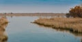 Blue sea of the lagoon of Caorle in Venice in Italy among the reflected reeds