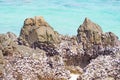 Blue sea with the rock, nature background