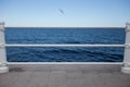 Blue sea with seagull and seafront handrail out of focus Royalty Free Stock Photo