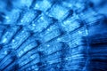 Blue Sea shell texture Royalty Free Stock Photo
