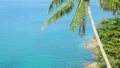 Blue sea view with green tropical palm tree in hot summer day. Beautiful coastline with turquoise water and stones Royalty Free Stock Photo