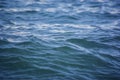 Blue sea water surface at sunset with waves Royalty Free Stock Photo