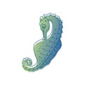 Blue seahorse outlined with a thin black outline. Vector illustration on white background. Royalty Free Stock Photo