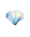 Scallop seashell. Sea creature. Ocean life. Blue watercolour illustration isolated on white background.