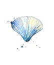 Abstract blue seashell with blots. Watercolour illustration isolated on white background.