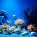 Blue Seaside Delights: Dried Starfish and Corals Offering a Glimpse into the Marine World