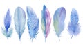 Blue set of bird feathers on white isolated background, watercolor illustration, hand drawing Royalty Free Stock Photo