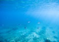 Blue shallow waters with white sand seabottom. Tropical seashore undersea photo.