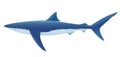 Blue Shark Royalty Free Stock Photo