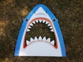 Blue shark head with teeth on grass