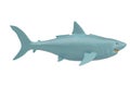 Blue shark isolated on white background. 3D illustration. 3D render