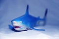 Blue shark Royalty Free Stock Photo