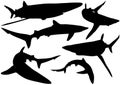 Blue Shark Silhouettes