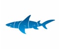 Blue Shark Typography Logo Royalty Free Stock Photo