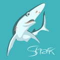 Shark vector illustration flat style profile view Royalty Free Stock Photo