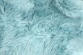 Blue sheep fur Natural sheepskin background Wool texture Royalty Free Stock Photo