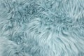 Blue sheepskin rug background sheep fur Royalty Free Stock Photo