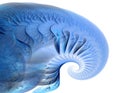 Blue Shell - Fractal Art Royalty Free Stock Photo